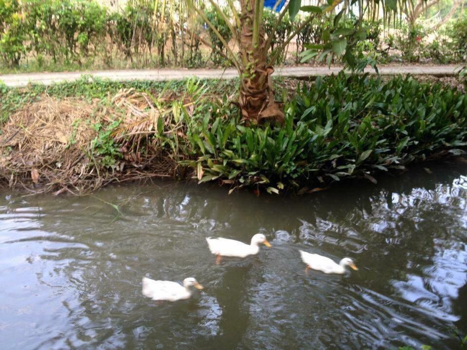 Nam Thanh Homestay Vinh Long Exterior photo